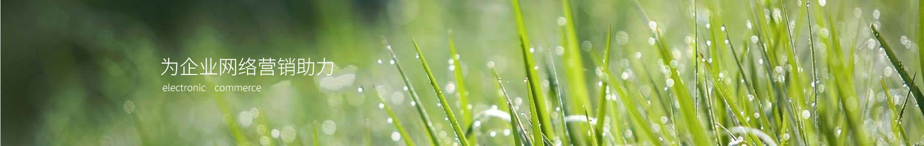 ݸаھܻе޹˾